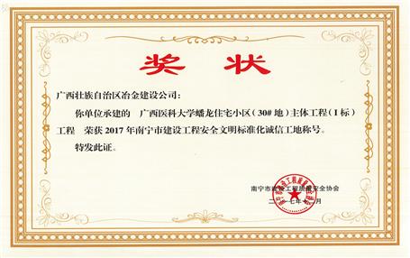 南寧分公司四個(gè)項(xiàng)目獲表彰！