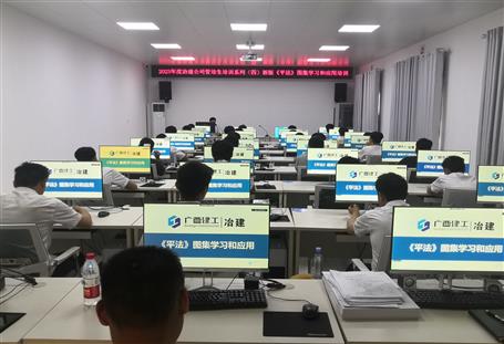 提升“三力”爭創(chuàng)佳績丨冶建公司開展新版《平法》圖集學習和應用培訓