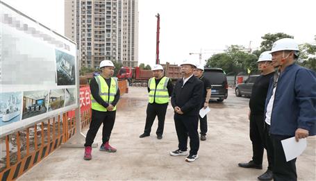 覃振華到重慶在建項目調(diào)研指導